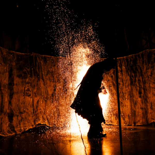 Trilokia Web Header 2026